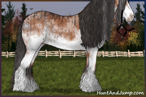 Horse Color:White Spotted Bay Splash  and White Spotted Bay Splash Frame 
