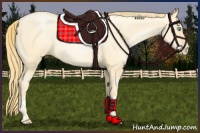 Horse Color:Buckskin Roan Pearl Rabicano  and Buckskin Roan Pearl Rabicano 