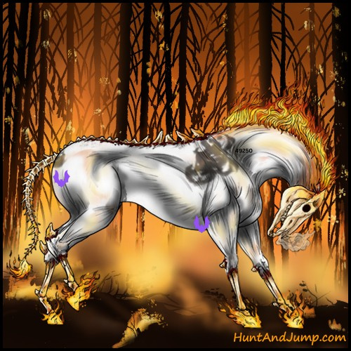 Horse Color:Grullo Sabino Splash 