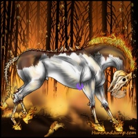 Horse Color:Bay Splash