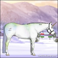 Horse Color:Gray Painted Watercolor Palomino Roan Onyx 