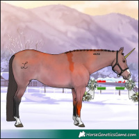 Horse Color:Bay Dun 