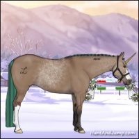 Horse Color:Painted Bay Dun 