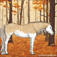Horse Color:Palomino Dun Splash  and Palomino Dun Splash 