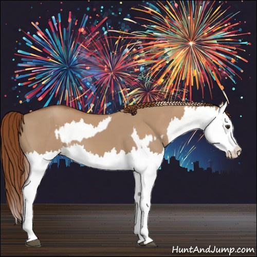 Horse Color:Red Dun Splash  and Red Dun Splash 