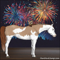 Horse Color:Red Dun Splash  and Red Dun Splash 