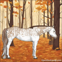 Horse Color:Red Dun Splash  and Red Dun Splash Frame 