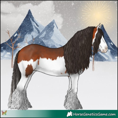 Horse Color:Bay Splash  and Bay Splash 