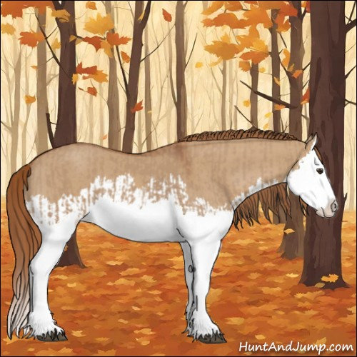 Horse Color:Red Dun Splash  and Red Dun Splash 