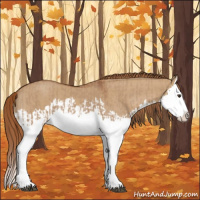 Horse Color:Red Dun Splash  and Red Dun Splash 