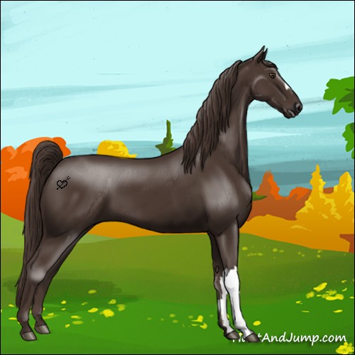Horse Color:Liver Chestnut