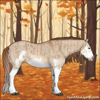 Horse Color:Red Dun Splash  and Red Dun Splash Frame 
