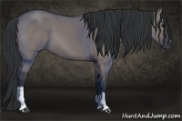 Horse Color:Grullo 