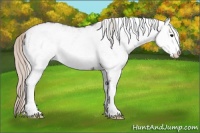 Horse Color:White Spotted Silver Black 