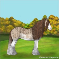 Horse Color:Platinum Liver Red Dun Splash  and Red Dun Splash 