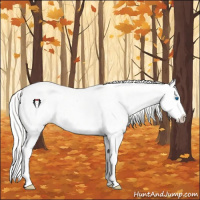 Horse Color:Cremello Dun Splash  and Cremello Dun Splash Appaloosa 