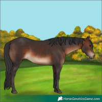 Horse Color:Brown 
