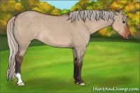 Horse Color:Silver Brown Roan Dun 
