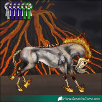 Horse Color:Gray Platinum Chocolate Silver Buckskin Roan 