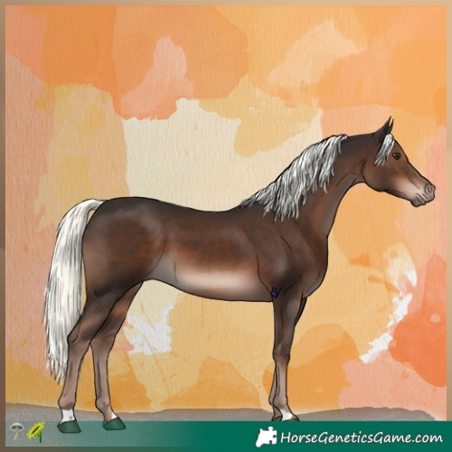 Horse Color:Liver Chestnut Mushroom 