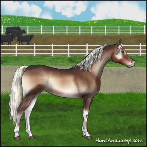 Horse Color:Liver Red Onyx Mushroom 