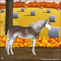 Horse Color:White Spotted Liver Chestnut Mushroom Splash 