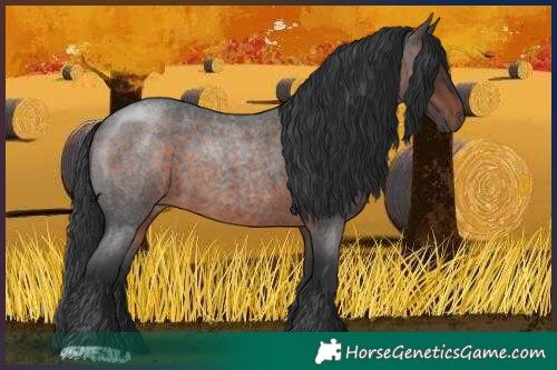 Horse Color:Brown Roan 
