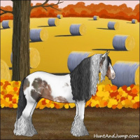 Horse Color:Brown Tobiano 