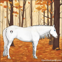 Horse Color:Cremello Dun Splash  and Cremello Dun Splash 