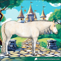 Horse Color:Palomino Roan Splash Frame 