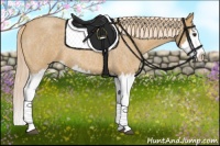 Horse Color:Palomino Roan Splash