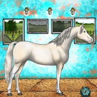 Horse Color:White Spotted Palomino Roan Pearl 