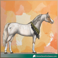 Horse Color:Chocolate Palomino Roan Splash 
