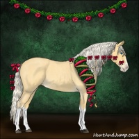 Horse Color:Palomino Roan Splash 