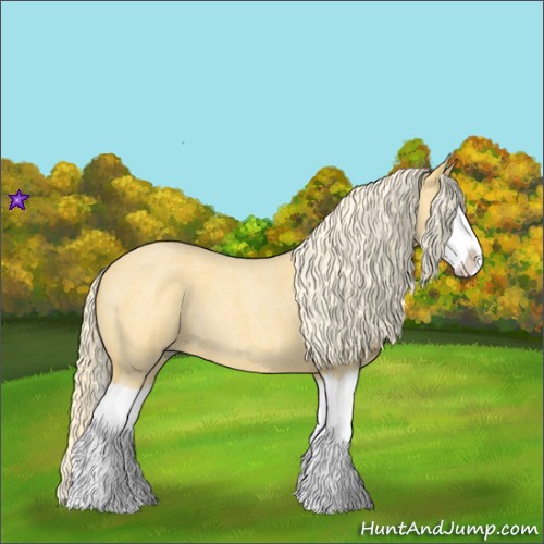 Horse Color:Palomino Roan Splash 