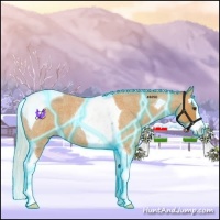 Horse Color:Thunderstruck Silver Buckskin Roan Splash Tobiano 
