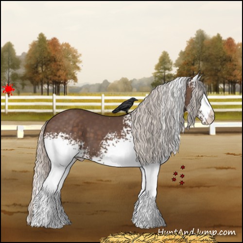 Horse Color:White Spotted Silver Black 