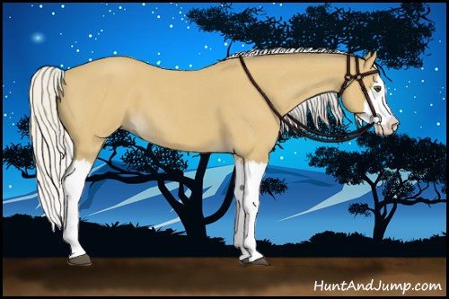 Horse Color:Silver Buckskin Roan Splash 