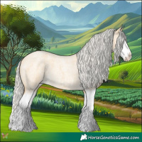 Horse Color:Silver Buckskin Roan Splash