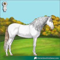 Horse Color:Gray Brown Pearl Dun Tobiano Varnish 