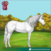 Horse Color:Gray Brown Dun Tobiano Appaloosa 