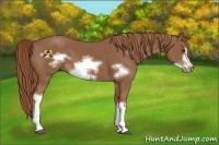 Horse Color:Chestnut Frame 