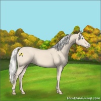 Horse Color:Silver Smoky Creme 