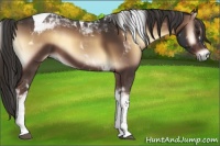 Horse Color:Liver Red Onyx Tobiano 
