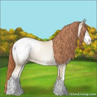 Horse Color:Amber Cream Champagne Pearl Sabino Appaloosa 