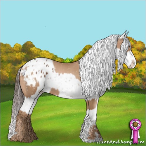 Horse Color:Silver Black Pearl Appaloosa  and Liver Chestnut Appaloosa 