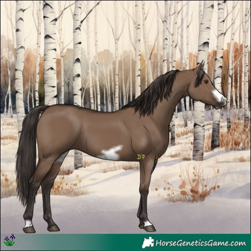 Horse Color:Liver Red Dun Frame 