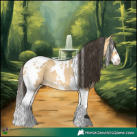 Horse Color:White Spotted Buckskin Dun Splash Tobiano Rabicano 