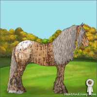 Horse Color:Silver Brown Appaloosa and Palomino Appaloosa