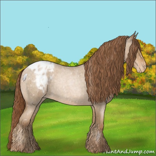 Horse Color:Buckskin Roan Pearl Appaloosa 